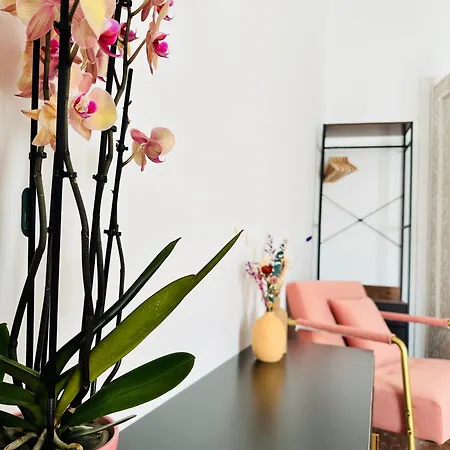 Appartamento Holiday Home *